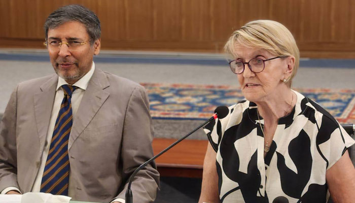 Veteran journalist and former Associated Press correspondent Kathy Gannon speaking at an event on “Geopolitical shifts and security challenges: Pakistan, Afghanistan and the regional power play” organised by IRS on June 6, 2025. — Facebook@Institute of Regional Studies, Islamabad
