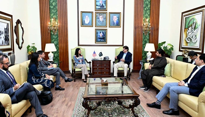 Sindh Chief Minister, Syed Murad Ali Shah, exchanges views with Director of the USAID Mission, Veeraya Kate Somvongsiri, during a meeting held at CM House in Karachi on June 11, 2025. — PPI