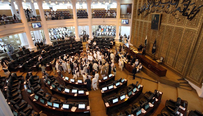 Opposition members of the KP Assembly are holding a protest against the government during the Khyber Pakhtunkhwa Assembly Budget Session for fiscal year 2025- 26 at KP Assembly building in Peshawar on June 13, 2025. — PPI