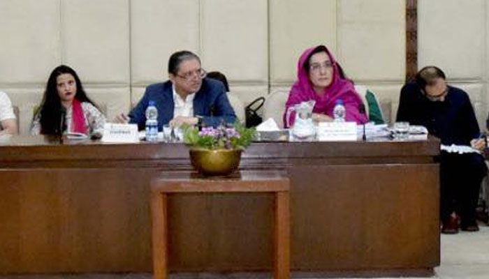 Senator Saleem Mandviwalla chairing the Senate Standing Committee on Finance and Revenue on June14, 2025. —Facebook@Pakistansenate