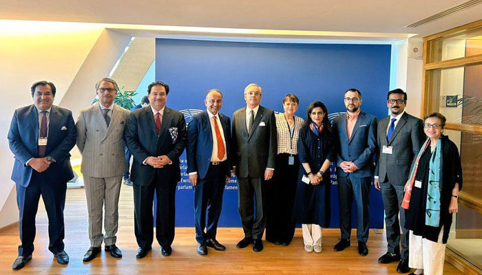 A High-level parliamentary delegation from Pakistan in a group photo with key members and committees of the European Parliament on June 17, 2025. — Facebook@ClimateChangePK