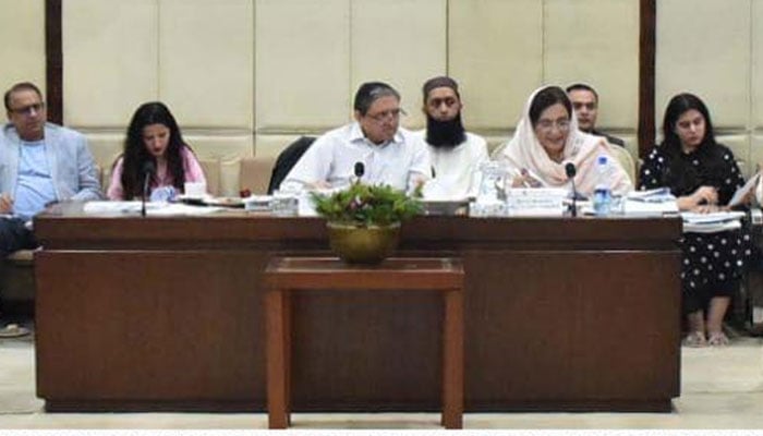 Senator Saleem Mandviwalla, Chairman Senate Standing Committee on Finance and Revenue, presiding over a meeting of the committee at parliament house Islamabad on June, 18, 2025. —Facebook@Pakistansenate