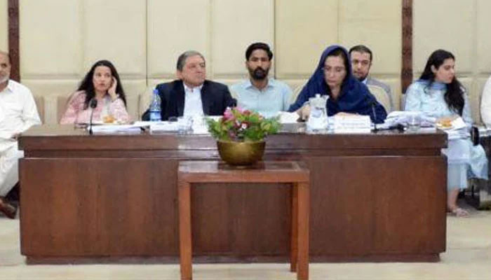 Senate Standing Committee on Finance and Revenue Chairman Saleem Mandviwalla presiding over a meeting of the committee at parliament house Islamabad on June 16, 2025.—Facebook@Pakistansenate