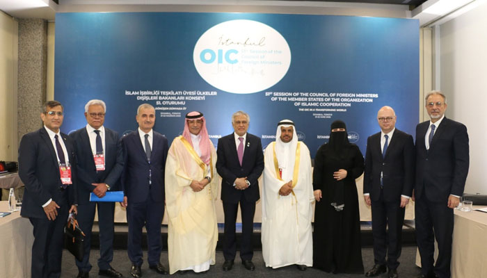 Deputy Prime Minister/Foreign Minister (DPM/FM) Muhammad Ishaq Dar (centre) in a group with the participants of the OIC Contact Group meeting on Jammu and Kashmir in Istanbul on June 22, 2025. — Facebook@foreignofficepk