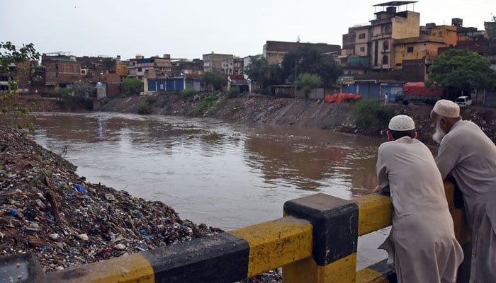 Elderly men stand on Gawalmandi Bridge looking water level increase in Nalla Lai, after the heavy rainfall early morning in the city on July 1, 2025. — Online