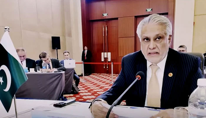 Deputy Prime Minister and Foreign Minister Ishaq Dar addresses the meeting of SCO Council of Foreign Ministers, on July 15, 2025 in Tianjin, China. — Screengrab via YouTube/Geo News