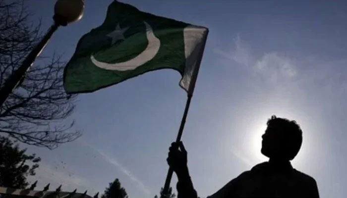 The representational image shows a person holding a Pakistani flag. — Reuters/File
