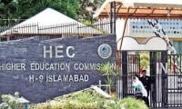 All quiet on the education front