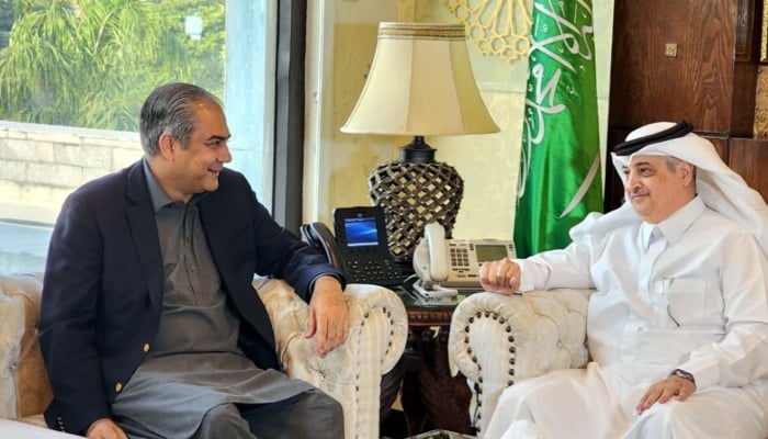 Federal Interior Minister Mohsin Naqvi is seen sitting with Saudi Ambassador Nawaf bin Saeed Al-Malki on November 19, 2025.  — Facebook/radiopakistannewsofficial