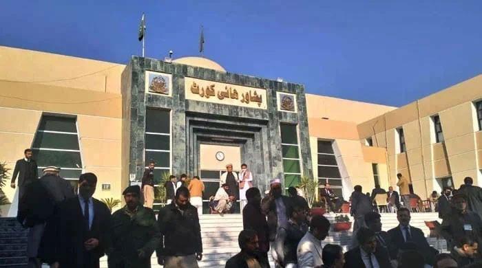 Afghan artistes move PHC against forced expulsion