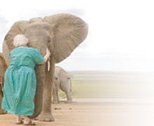 Eat chocolate to boost your brain power