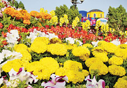 Spring is in the air