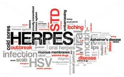 Our bodies, our lives