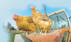 BITS &lsquo;N&rsquo; PIECES