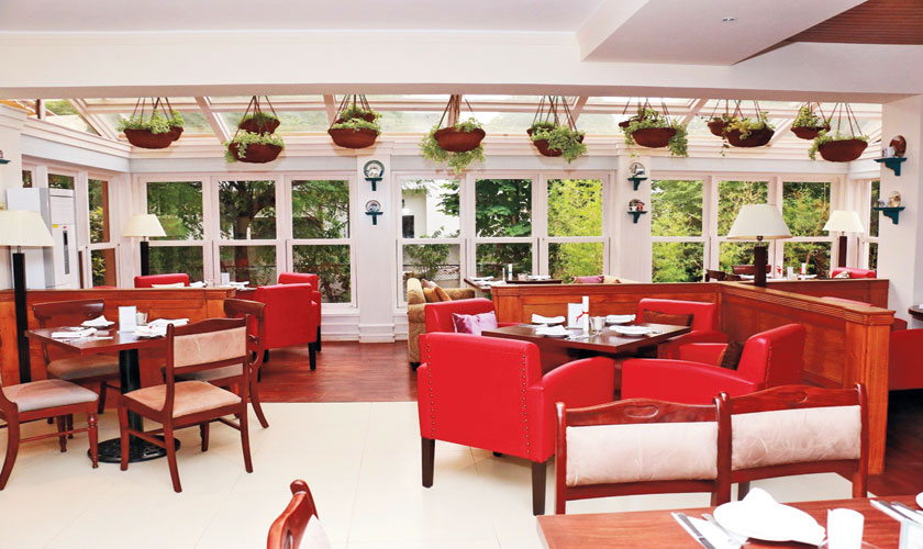 Shades of red and maroon