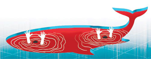 Blue whale - don’t get caught