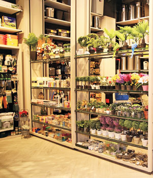 One-stop destination