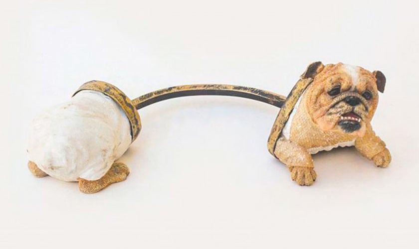 Anatomy of a horny heart