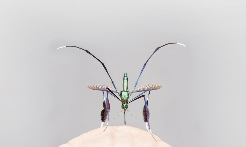 Taquile - where knitting is man’s pride