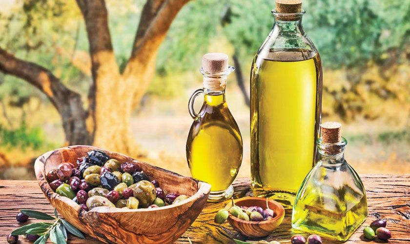 Olive trees: a gift to the environment