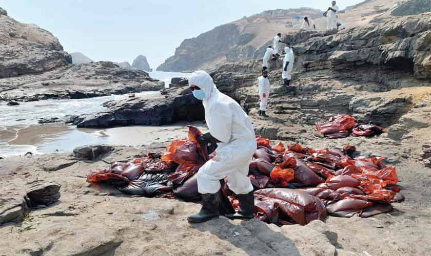 Fishermen in despair - Vimarsana News