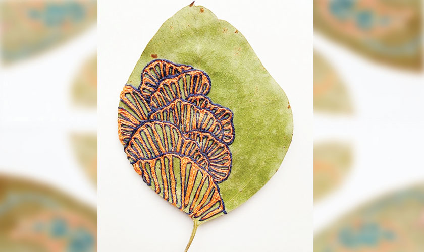 Vibrant embroideries enhance the natural beauty of preserved leaves