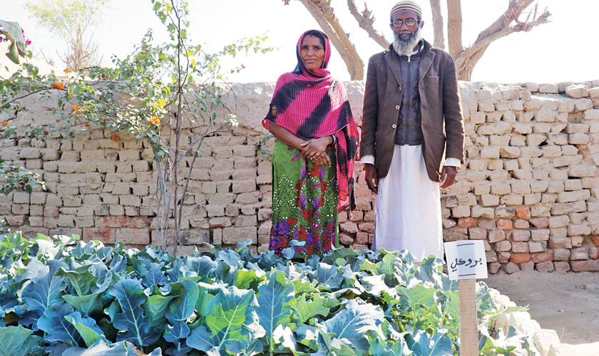 Resilient women of Sheikh Bhirkiyo