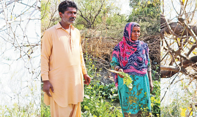 Resilient women of Sheikh Bhirkiyo