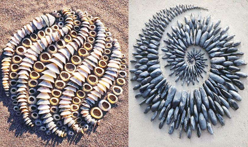 Vibrant paper strips swirl into energetic circles of scales and feathers
