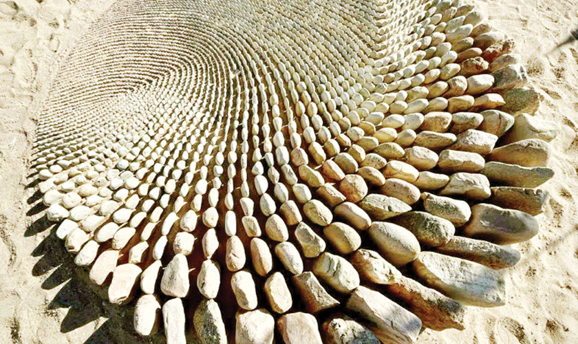 Vibrant paper strips swirl into energetic circles of scales and feathers