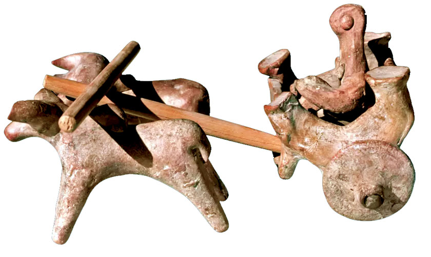 Bullock cart with man