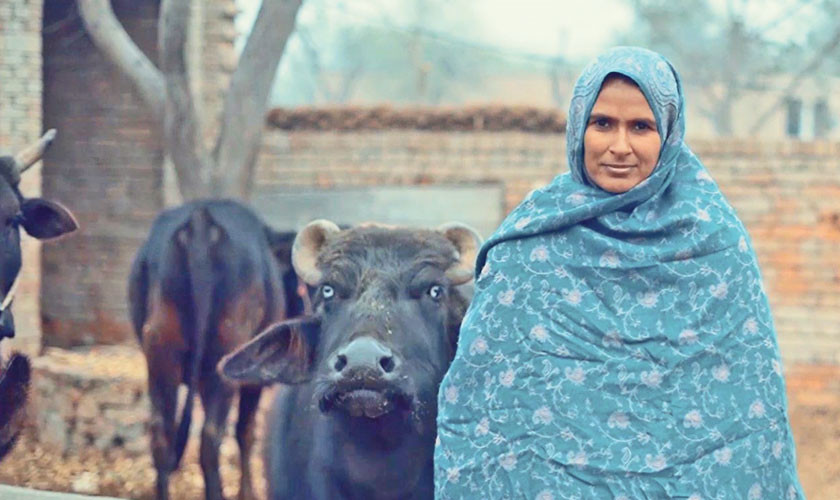 The brave women of Vehari - Vimarsana News