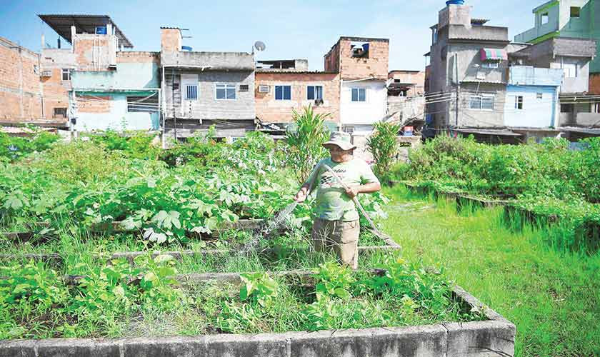 Urban gardens - Vimarsana News
