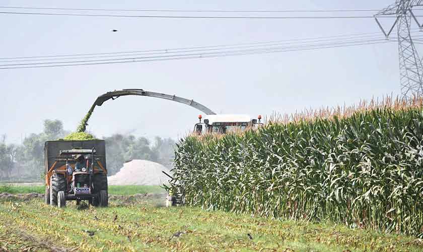 Depressing productivity