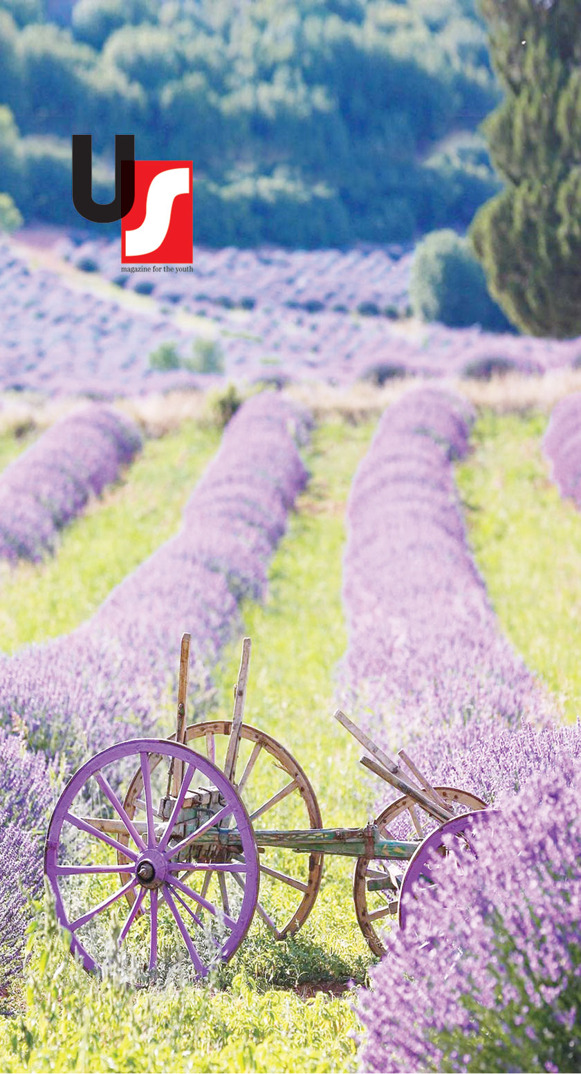 Lavender fields, Isparta