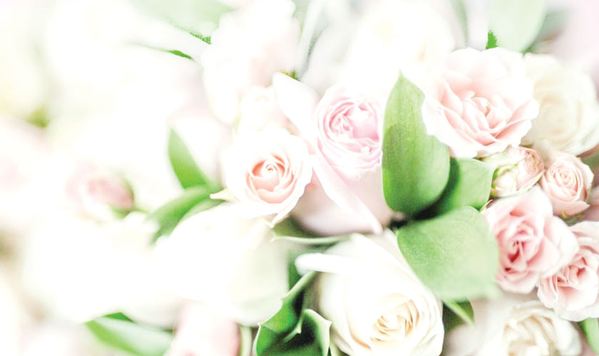 The Eid Engagement, and Other Weddings # 36