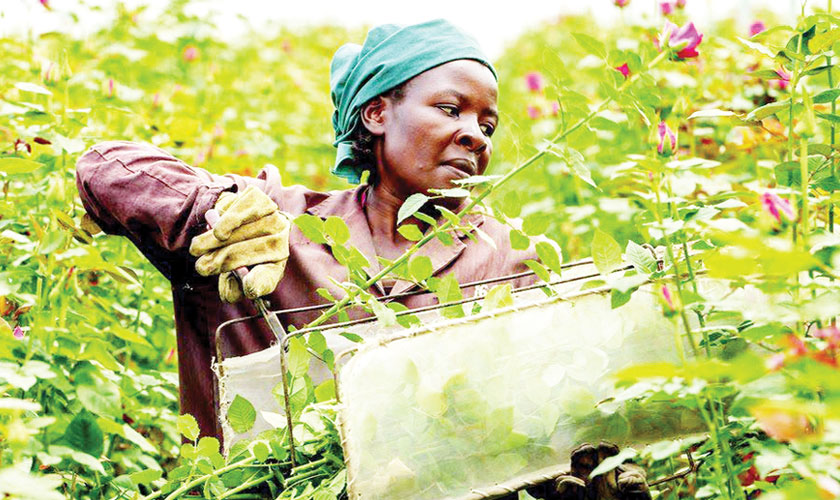 The Norwegian library with unreadable books
