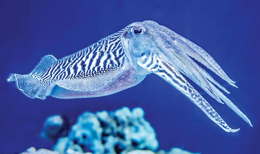 Text your friends, it matters more than you think