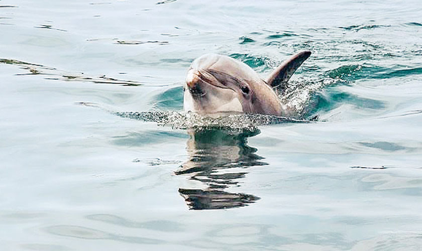 Text your friends, it matters more than you think