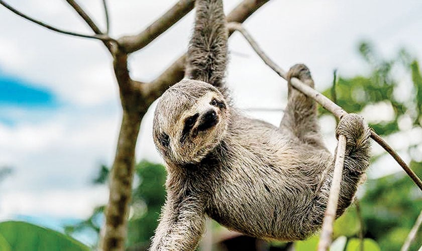 Text your friends, it matters more than you think