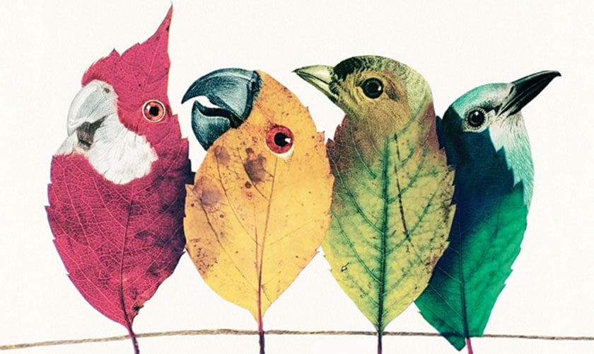 Dried and pressed flowers are molded into delicate sculptural vessels