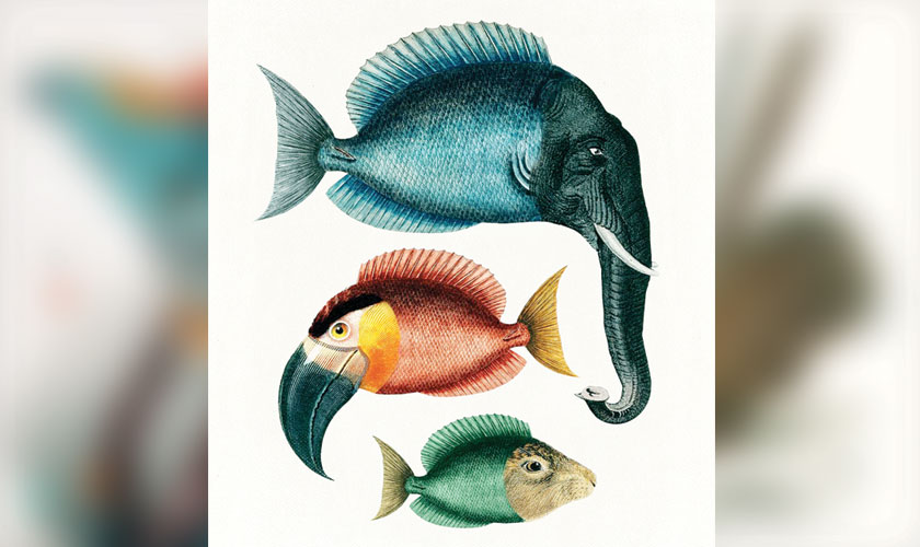 Dried and pressed flowers are molded into delicate sculptural vessels