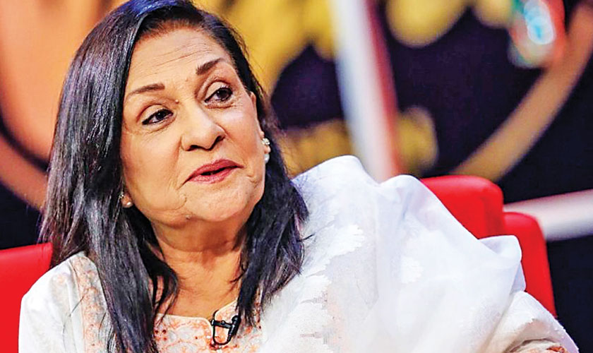 We need to work on varied ideas in our dramas: Samina Ahmad