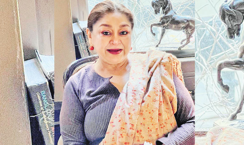 "My cookbook is a historical memoir. It explores relationships, and special moments centred on food – Marina Farid" - Vimarsana News