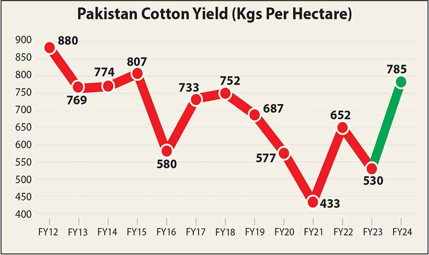 Cotton crisis