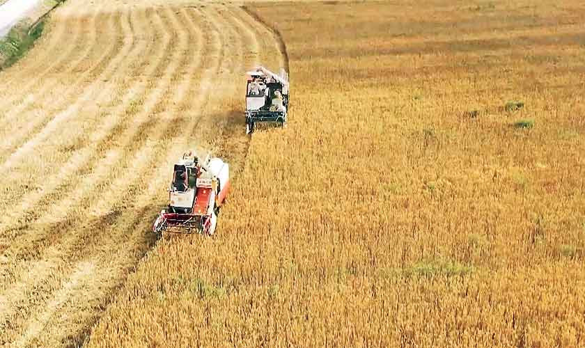 Food security - Vimarsana News