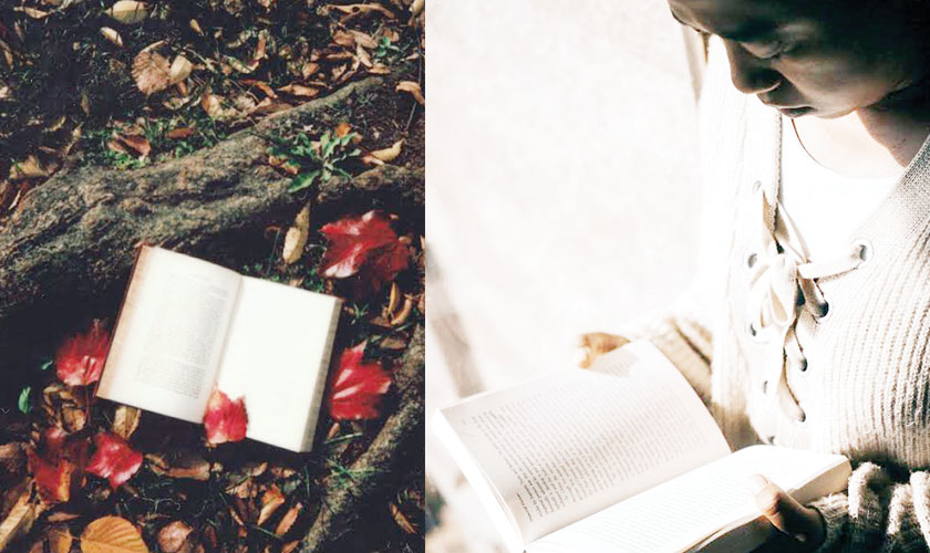 Life, a renaissance everyday