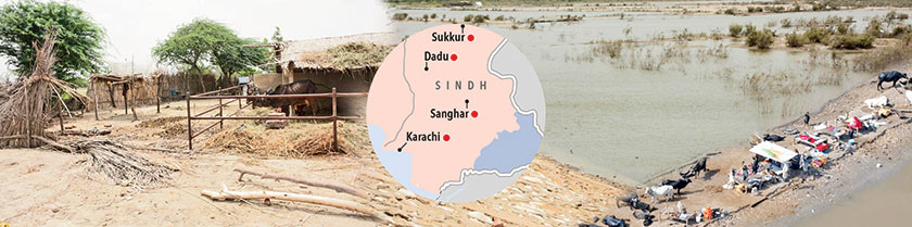 No respite for flood victims…