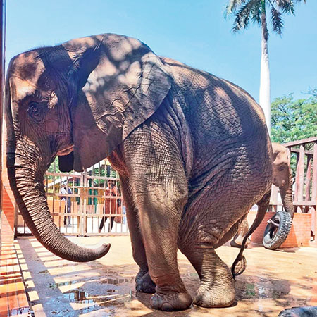 Treat them with kindness…