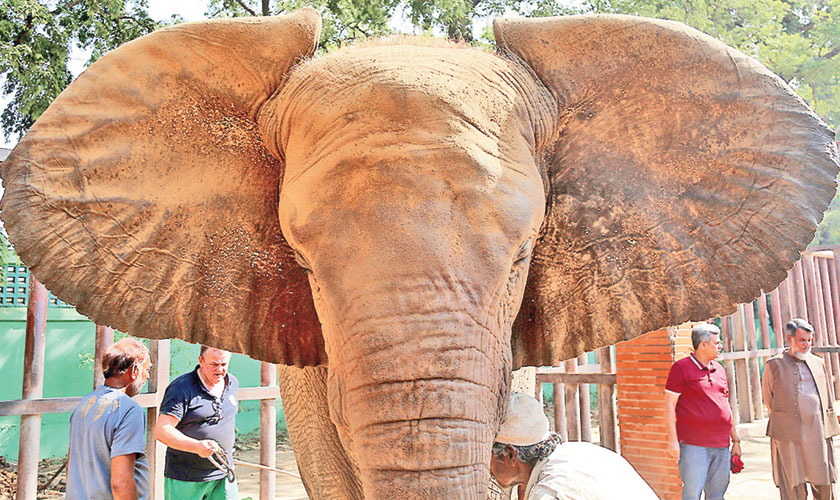 Treat them with kindness…